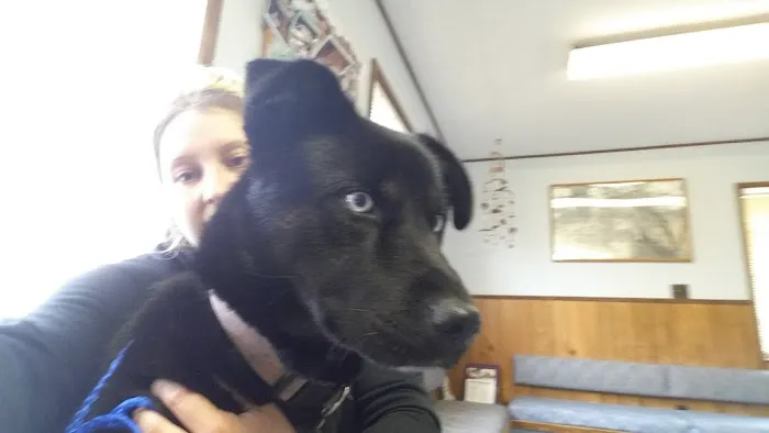 McMinnville Veterinary Hospital Picture 3