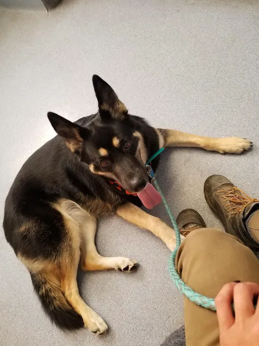 McMinnville Veterinary Hospital Picture 9