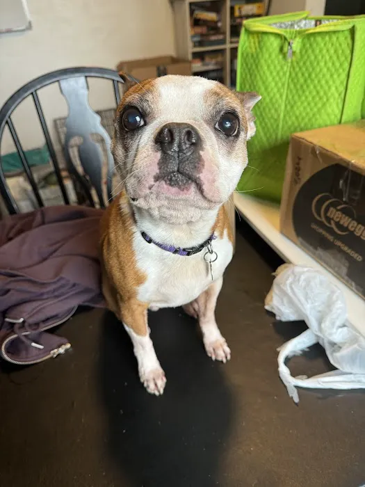 Orchard View Veterinary Center Picture 10
