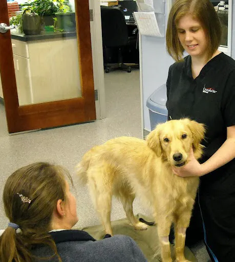 Orchard View Veterinary Center Picture 7