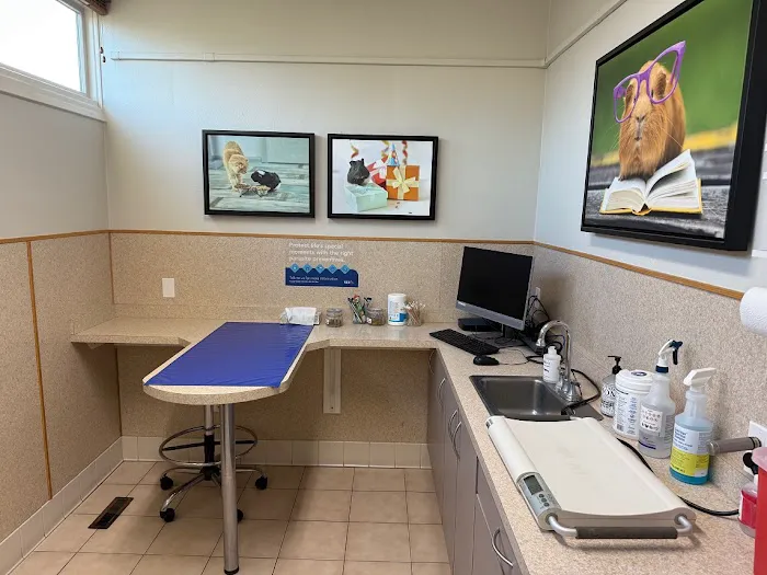 VCA River Road Animal Clinic Picture 6