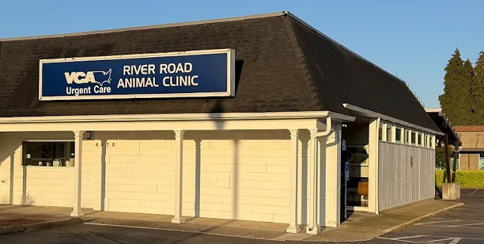 VCA River Road Animal Clinic Picture 5