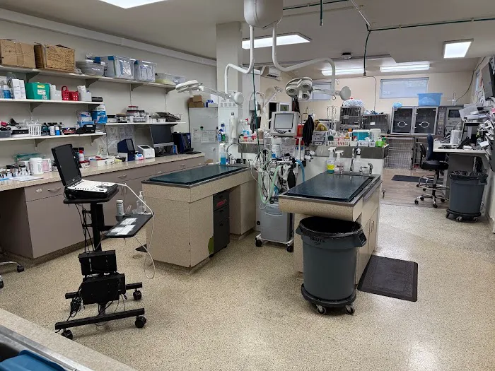 VCA River Road Animal Clinic Picture 7