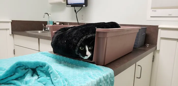 VCA Keizer Veterinary Hospital Picture 2
