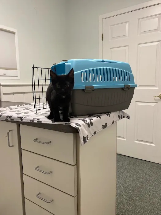 VCA Keizer Veterinary Hospital Picture 10
