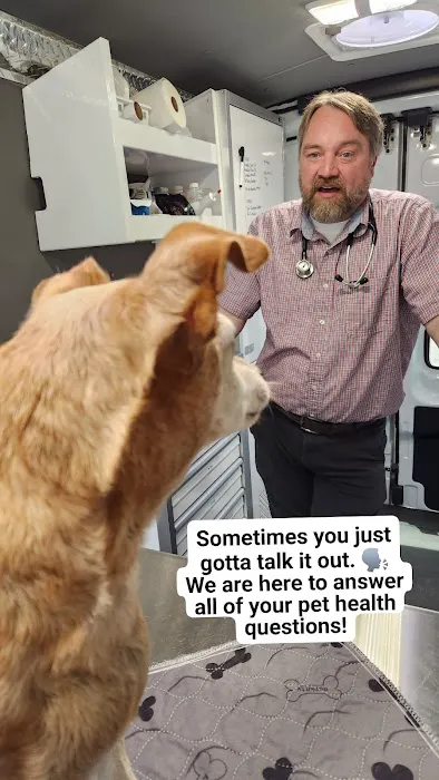 Joynt Veterinary - Dr. Kasey Joynt Picture 1