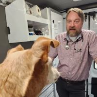Joynt Veterinary - Dr. Kasey Joynt ico