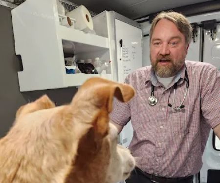 Joynt Veterinary - Dr. Kasey Joynt