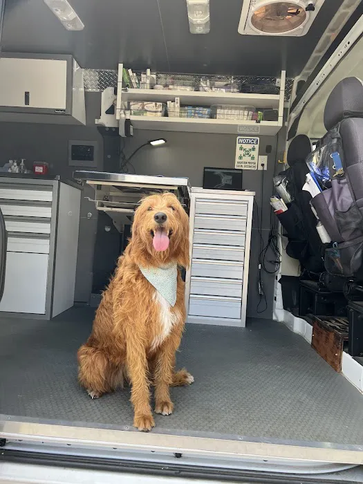 Joynt Veterinary - Dr. Kasey Joynt Picture 7