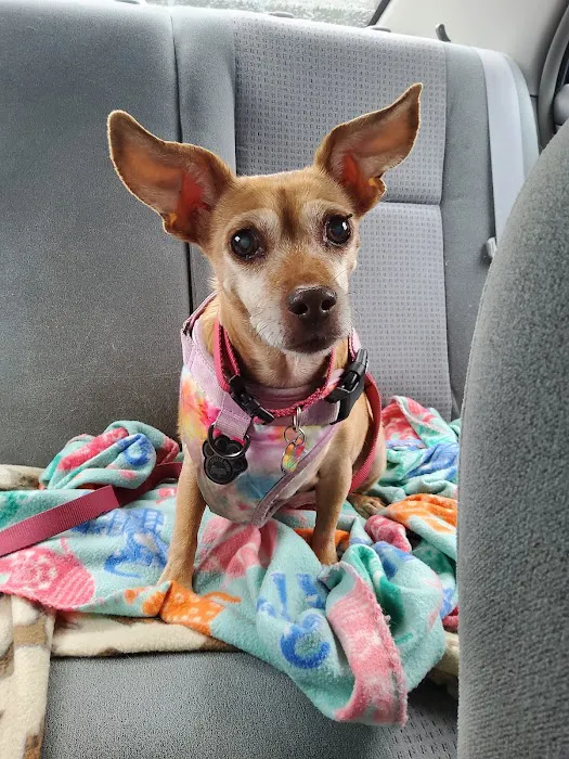 Paws Animal Hospital Picture 6