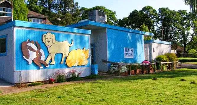 Neighborhood Animal Hospital Picture 4