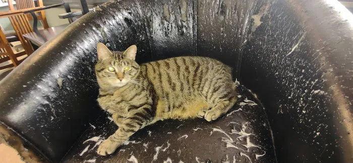 Liberty Animal Hospital Picture 2