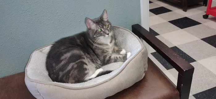 Liberty Animal Hospital Picture 3