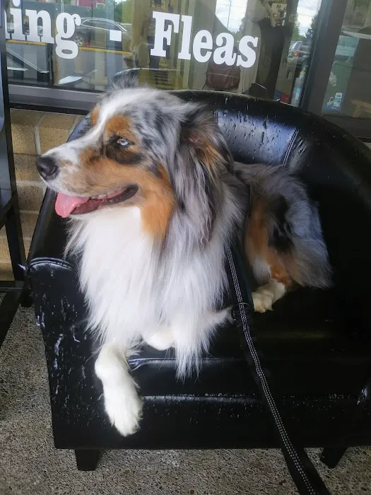 Liberty Animal Hospital Picture 5