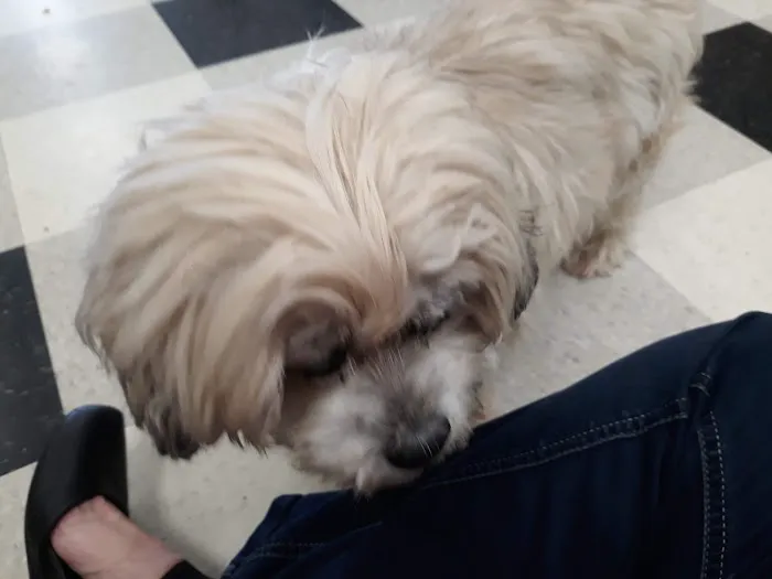 Liberty Animal Hospital Picture 4
