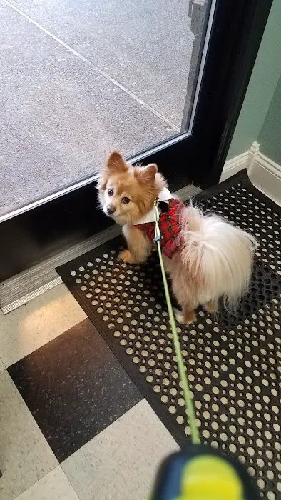 Liberty Animal Hospital Picture 7