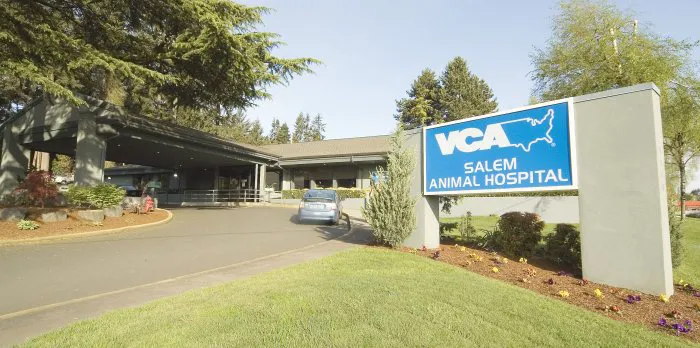 VCA Salem Animal Hospital Picture 6