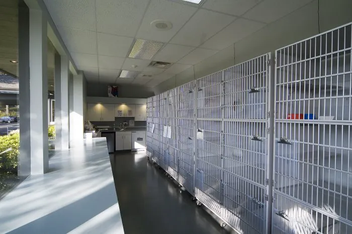 VCA Salem Animal Hospital Picture 5