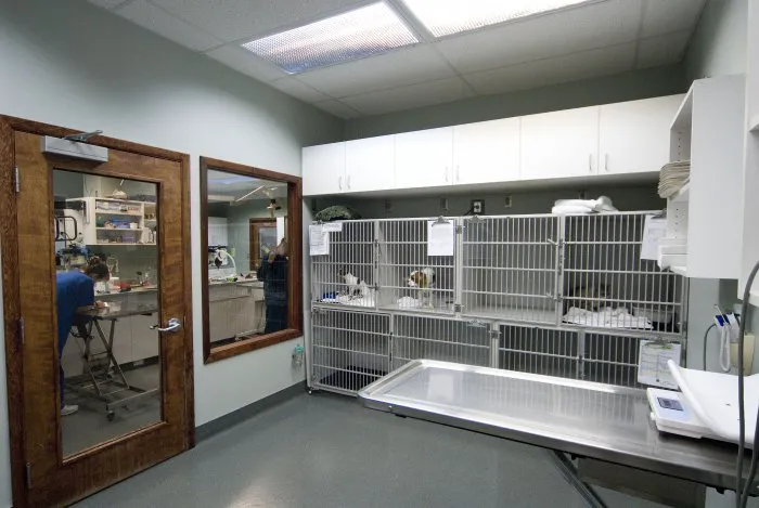 VCA Salem Animal Hospital Picture 9