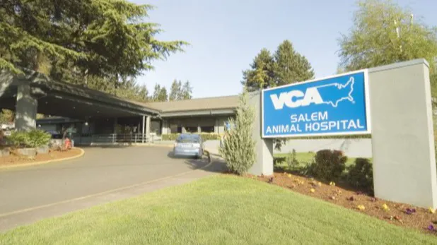 VCA Salem Animal Hospital Picture 7