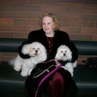 VCA Ocean Beach Animal Hospital ico