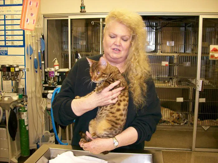 VCA Ocean Beach Animal Hospital Picture 5