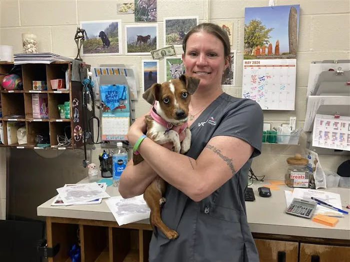 VCA Ocean Beach Animal Hospital Picture 3