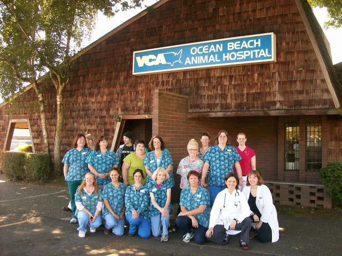 VCA Ocean Beach Animal Hospital Picture 6