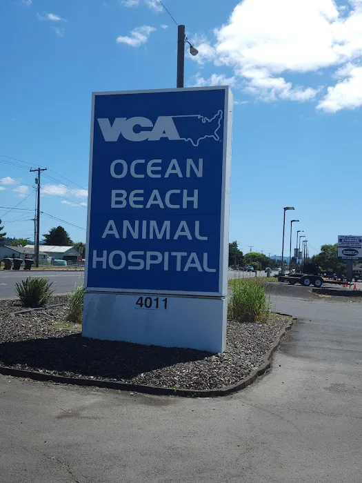 VCA Ocean Beach Animal Hospital Picture 10