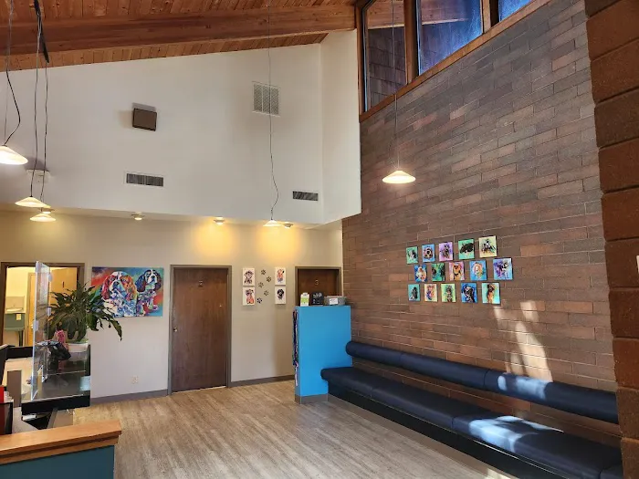 VCA Ocean Beach Animal Hospital Picture 7