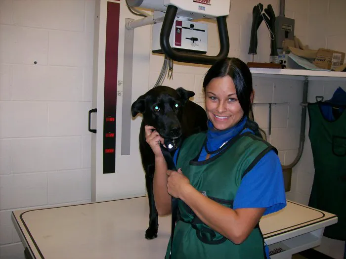 VCA Ocean Beach Animal Hospital Picture 8