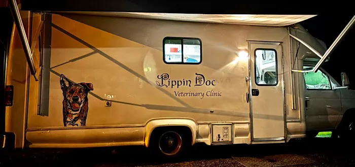 PippinDoc Picture 2