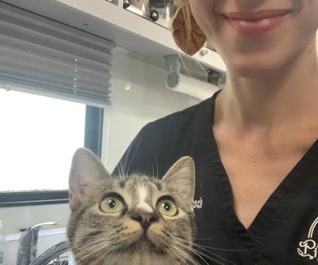 PippinDoc
