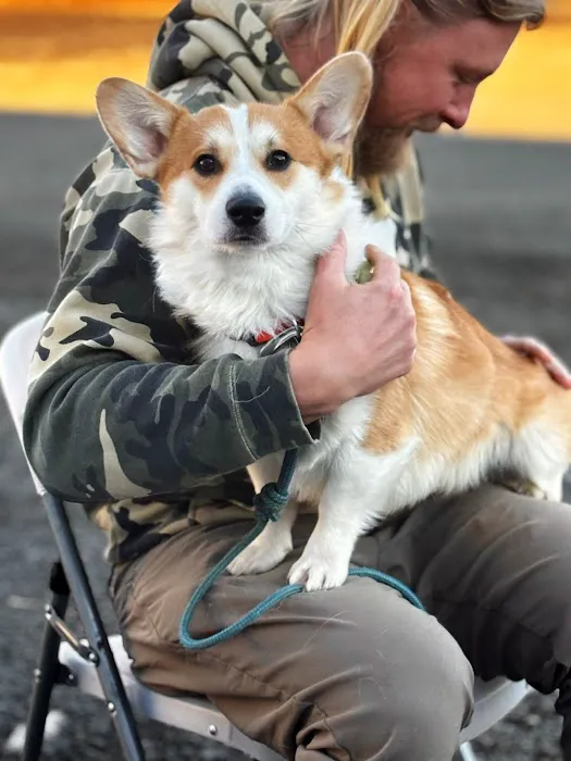 PippinDoc Picture 3