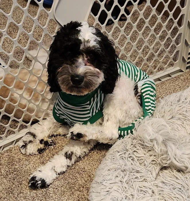 NoCo Spay & Neuter Picture 6