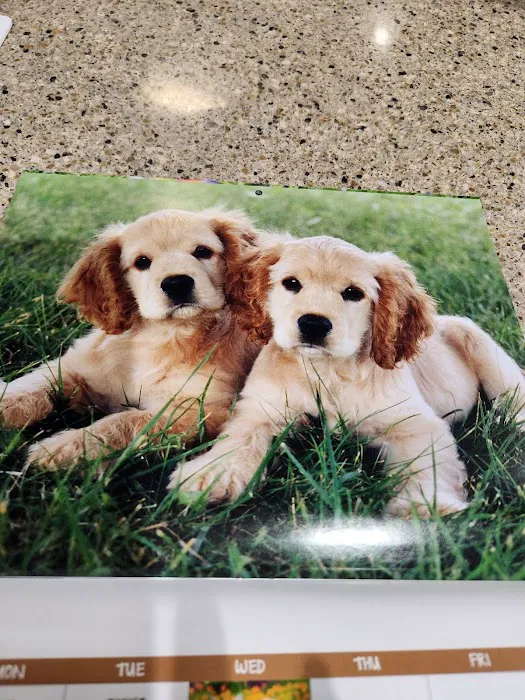 Berthoud Animal Hospital Picture 5