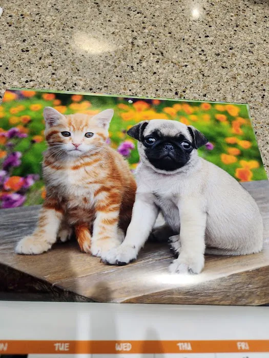 Berthoud Animal Hospital Picture 7