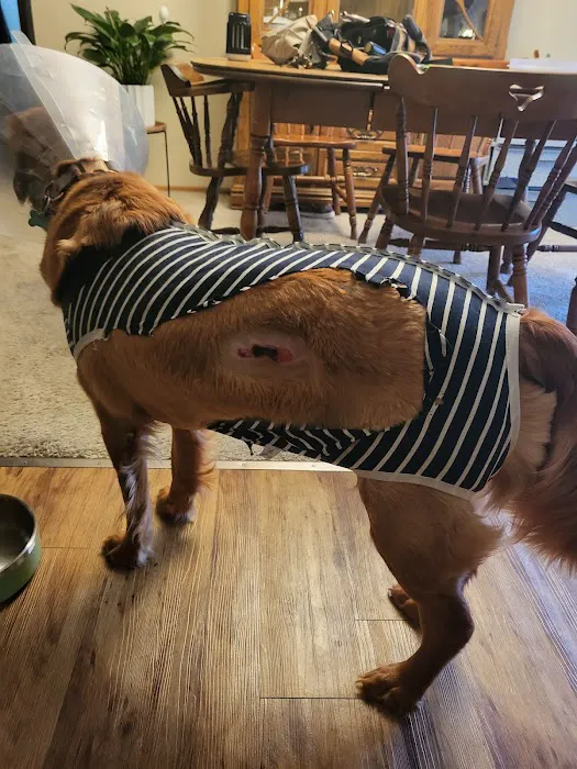 Animal Health At Home Picture 1