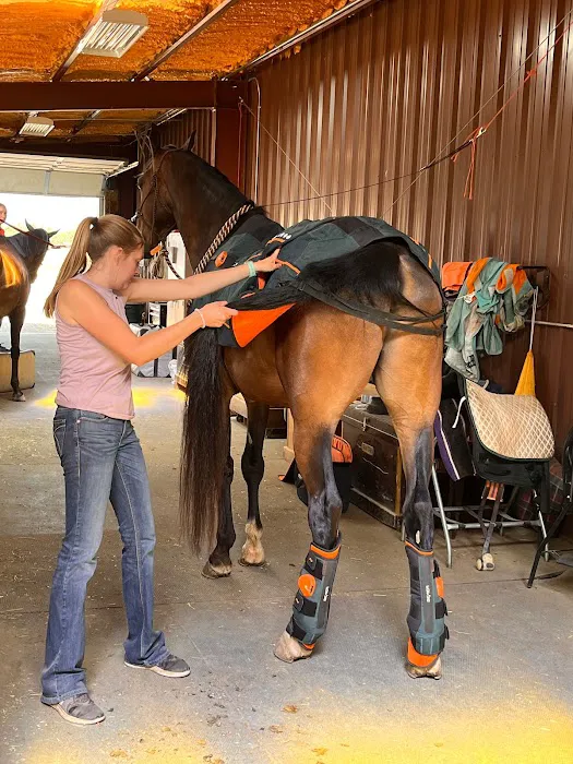Front Range Equine Performance & Rehabilitation Picture 1
