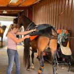 Front Range Equine Performance & Rehabilitation
