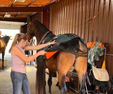 Front Range Equine Performance & Rehabilitation