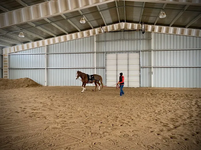 Front Range Equine Performance & Rehabilitation Picture 9