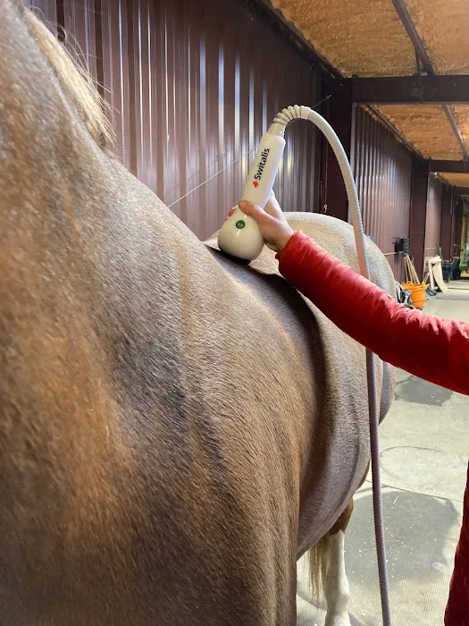 Front Range Equine Performance & Rehabilitation Picture 7