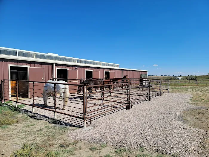Front Range Equine Performance & Rehabilitation Picture 10