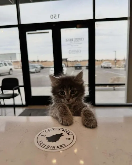 Coyote Ridge Veterinary Clinic Picture 2