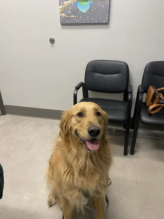 Coyote Ridge Veterinary Clinic Picture 5