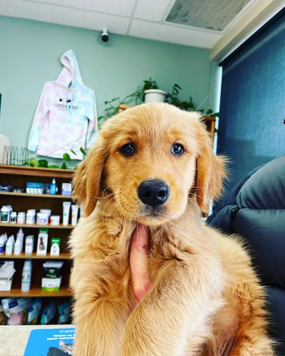 Coyote Ridge Veterinary Clinic Picture 8