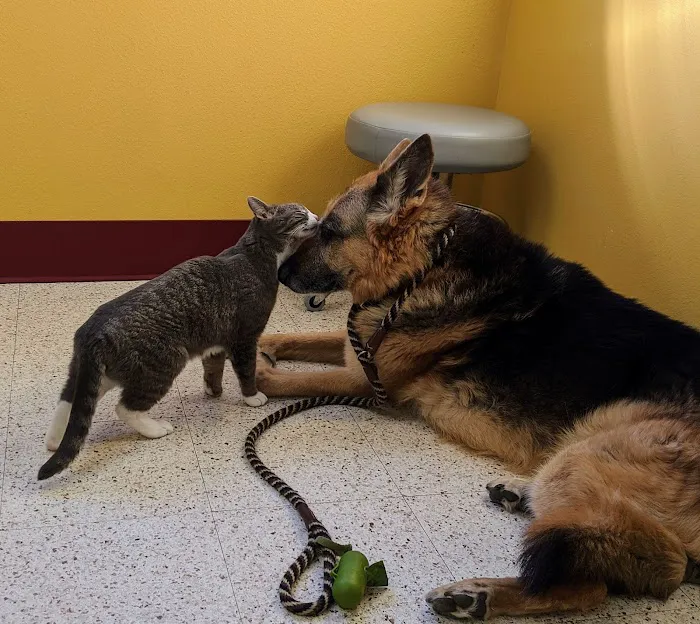 Pella Corner Animal Clinic Picture 5