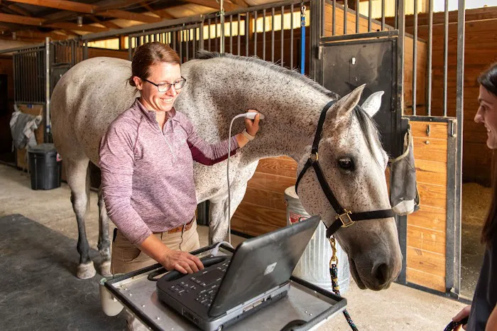 Iron Horse Equine Picture 7
