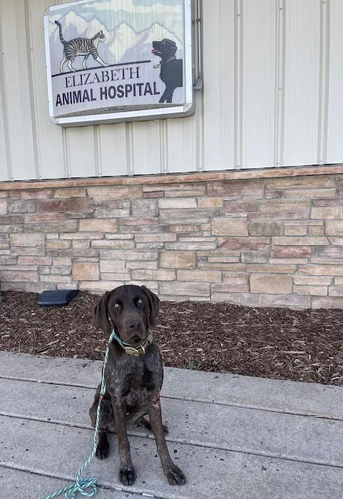Elizabeth Animal Hospital Picture 4